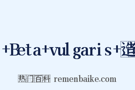 +Beta+vulgaris+造句是什么意思的图片